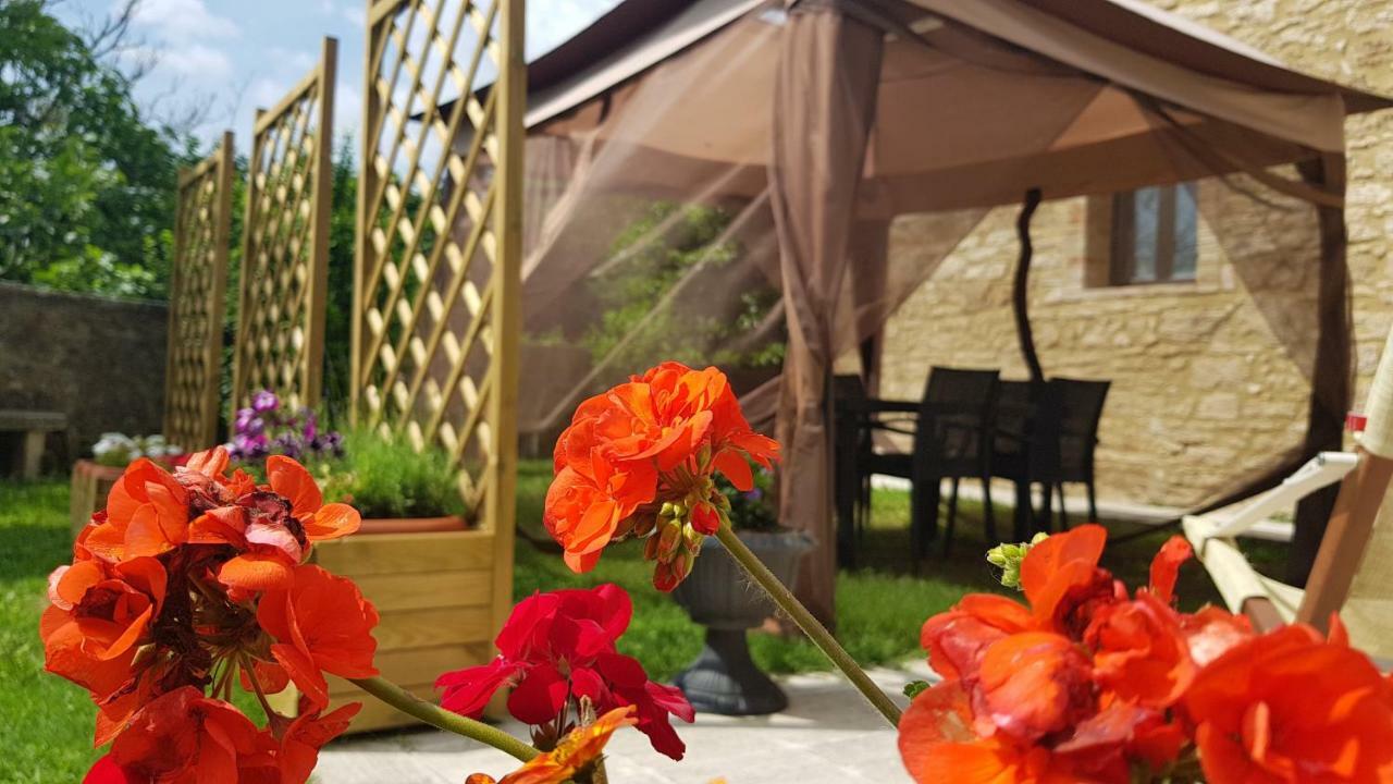 San Paterno B&B Раполано-Терме Екстер'єр фото