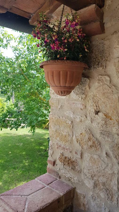 San Paterno B&B Раполано-Терме Екстер'єр фото